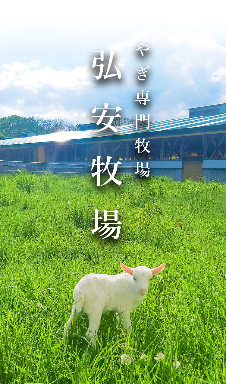 やぎ専門牧場　弘安牧場