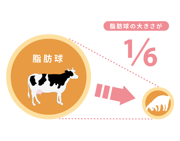 牛乳よりも消化吸収が良い